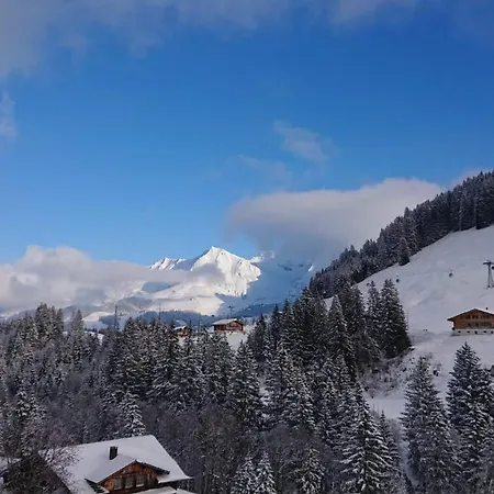 Apartment Studio Gilbach Adelboden