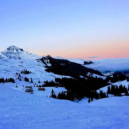 Studio Gilbach Apartmán Adelboden