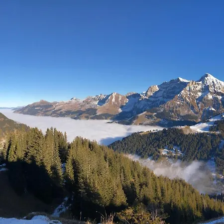 Studio Gilbach * Adelboden
